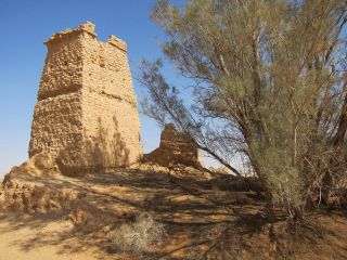 Sudair Province Day Tour from Riyadh An old, sun-baked tower stands beside a tree in a desert landscape under a clear blue sky.