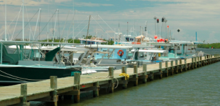 Saudi Arabia KSA Boat Rental and Yacht Charter Suppliers A long wooden pier extends into the water, lined with various boats featuring masts, life preservers, and other nautical equipment.