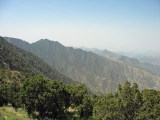 Explore the Wonders of Saudi Arabia: A Tailored Journey Through Heritage and Luxury A mountainous landscape with lush green trees in the foreground, rolling hills, and taller mountains in the background under a clear blue sky.